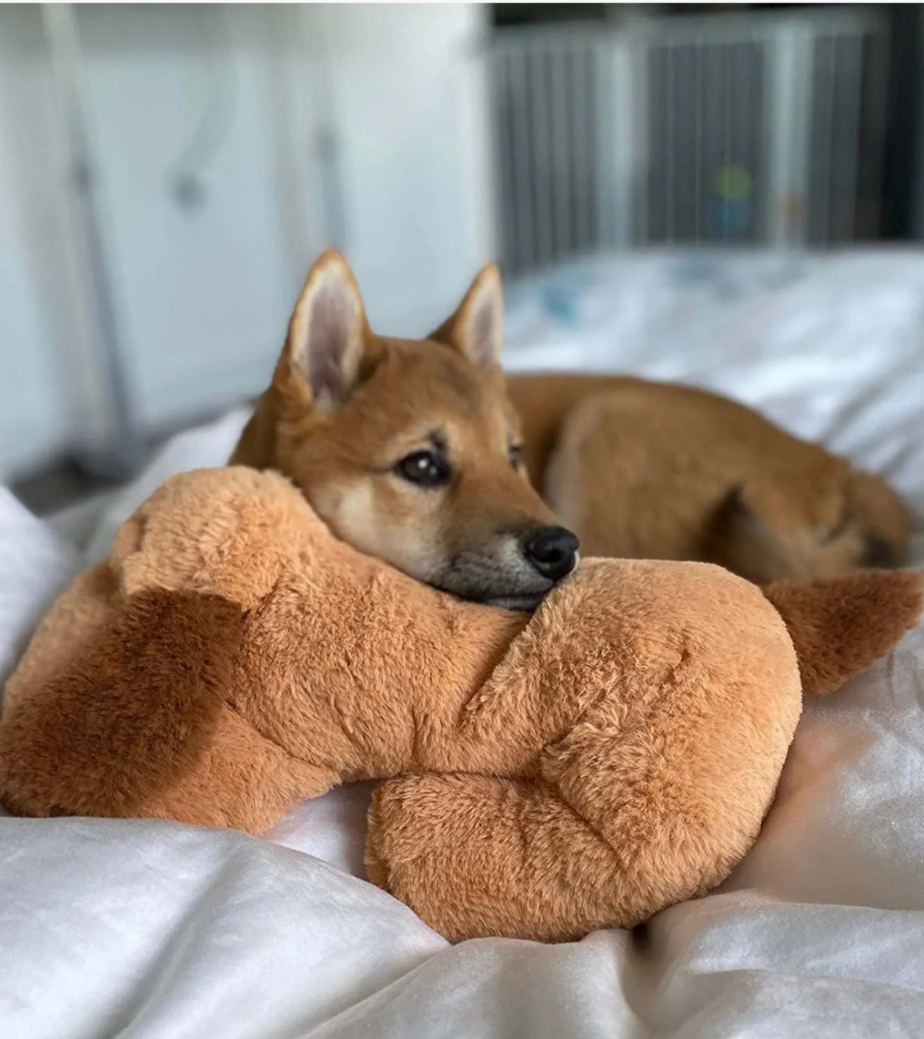 Kuschelfreund
