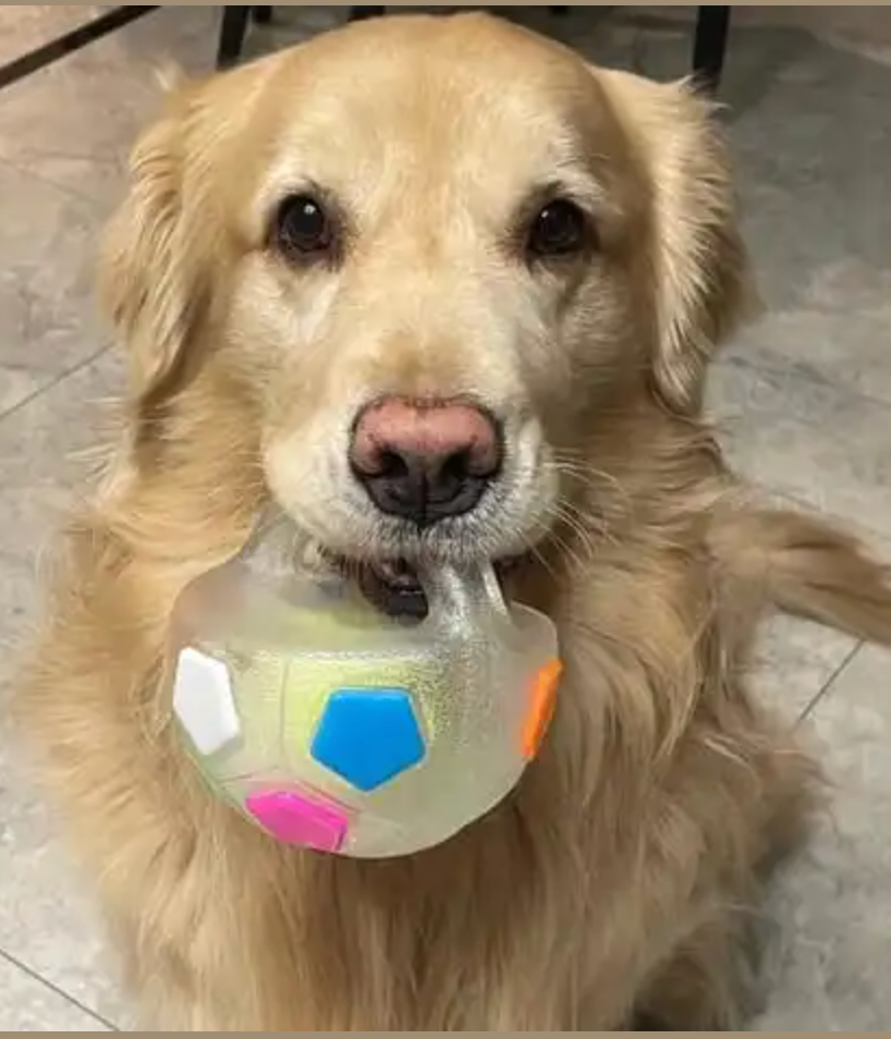 Screenshot 2026-01-20 at 19.05.03.png__PID:85f964bf-0bd1-4149-a0a2-981280b78a03